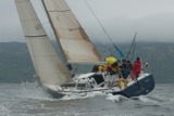 tanit gbr731t mon ss09 gjc 7995